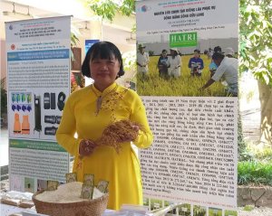 Tạo giống l&uacute;a mới từ &ldquo;l&uacute;a ma&rdquo;
