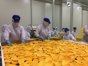 Xuất khẩu n&ocirc;ng, l&acirc;m, thủy sản đ&oacute;n nhận nhiều tin vui