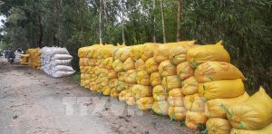 Thị trường n&ocirc;ng sản: Gi&aacute; gạo xuất khẩu Việt Nam vẫn giữ vị tr&iacute; cao nhất