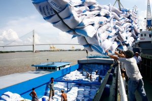 Xuất khẩu gạo của Việt Nam đ&atilde; khởi sắc ngay từ qu&yacute; 1​