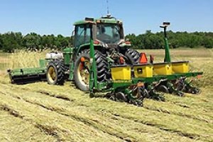 Nghi&ecirc;n cứu biện ph&aacute;p canh t&aacute;c tiết kiệm chi ph&iacute; với c&acirc;y che phủ
