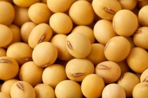 USDA: Dự b&aacute;o cung cầu đậu tương thế giới ni&ecirc;n vụ 2016/17 