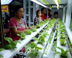 Hợp t&aacute;c x&atilde; bắt nhịp thị trường số