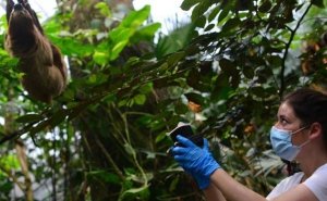 Nghi&ecirc;n cứu khoa học mới: thu thập ADN từ trong kh&ocirc;ng kh&iacute;