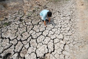 ĐBSCL: Hạn mặn sớm đe dọa h&agrave;ng trăm ng&agrave;n ha l&uacute;a