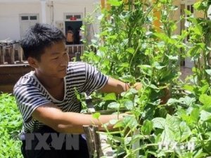 Sản xuất ph&aacute;t triển một số giống c&acirc;y trồng vật nu&ocirc;i ở quần đảo Trường Sa