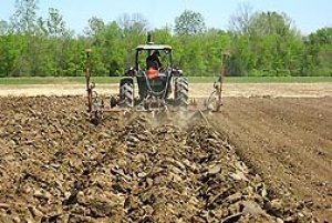   Tối đa h&oacute;a lợi nhuận cho người trồng b&ocirc;ng nhờ ph&acirc;n gia cầm