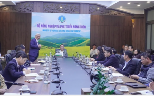 Việt Nam c&oacute; thể b&aacute;n 57 triệu t&iacute;n chỉ carbon ra thế giới mỗi năm