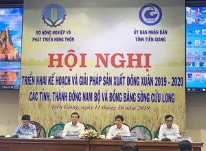 Nam Bộ, ĐBSCL triển khai kế hoạch sản xuất vụ Đ&ocirc;ng Xu&acirc;n 2019-2020