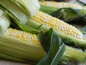 USDA: Dự b&aacute;o cung cầu ng&ocirc; thế giới ni&ecirc;n vụ 2016/17