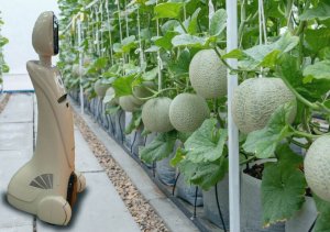 Chuyển đổi số trong n&ocirc;ng nghiệp ở Vương quốc Bỉ 