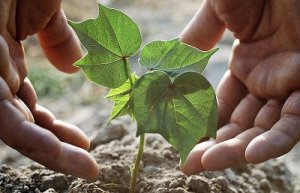 Sản xuất th&agrave;nh c&ocirc;ng đất nh&acirc;n tạo