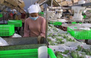 Tăng tốc xuất khẩu n&ocirc;ng sản