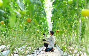 N&ocirc;ng nghiệp chuyển đổi mạnh mẽ v&agrave; tiếp cận c&aacute;c xu thế ph&aacute;t triển tr&ecirc;n thế giới