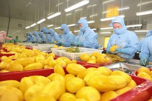 Ba năm xuất khẩu n&ocirc;ng sản, rau quả sang EU theo EVFTA: B&agrave;i học kinh nghiệm