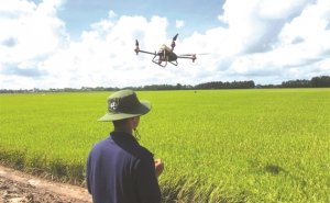 Tăng t&iacute;n dụng gi&uacute;p n&ocirc;ng nghiệp về đ&iacute;ch sớm 