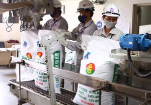 Gi&aacute; 7 loại ph&acirc;n b&oacute;n tăng, ri&ecirc;ng ure giảm