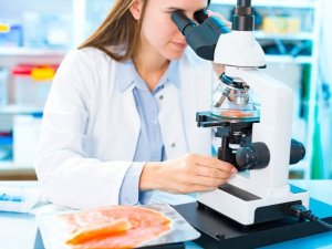 C&ocirc;ng cụ di động ph&aacute;t hiện nhanh c&aacute;c chất g&acirc;y &ocirc; nhiễm trong thực phẩm