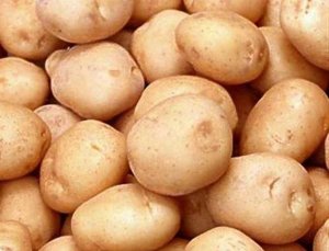 Ph&aacute;t triển sản xuất khoai t&acirc;y theo xu hướng ti&ecirc;u d&ugrave;ng