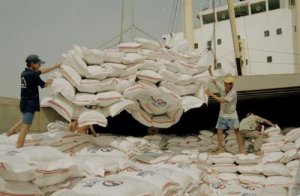 Xuất khẩu gạo Việt Nam đạt kết quả ấn tượng