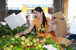 Kỳ vọng mục ti&ecirc;u xuất khẩu tr&aacute;i c&acirc;y đạt 3,6 tỷ USD v&agrave;o năm 2020 