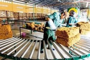 Xuất khẩu cao su 7 th&aacute;ng đầu năm 2021 tăng trưởng tốt
