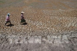 Gi&aacute; n&ocirc;ng sản Th&aacute;i Lan dự b&aacute;o sẽ tăng cao do hạn h&aacute;n nghi&ecirc;m trọng