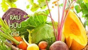 So sánh v&ecirc;̀ sản lượng và chi phí giữa canh t&aacute;c hữu cơ với n&ocirc;ng nghiệp th&ocirc;ng thường
