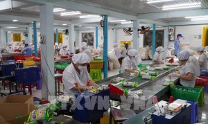 Thị trường n&ocirc;ng sản: Xuất khẩu gạo trầm lắng do hạn chế nguồn cung