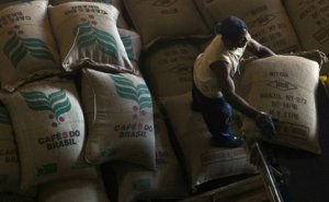 Hạn hán kéo dài, Brazil buộc phải nhập cà phê từ Việt Nam