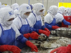 N&ocirc;ng sản Việt trong v&ograve;ng xo&aacute;y chiến tranh thương mại: Cửa sang Trung Quốc kh&oacute; hơn 