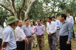 Bước chuyển quan trọng của ng&agrave;nh trồng trọt