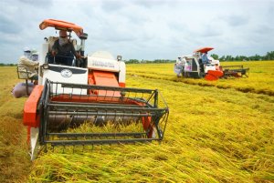 X&acirc;y dựng nền n&ocirc;ng nghiệp th&ocirc;ng minh, hội nhập