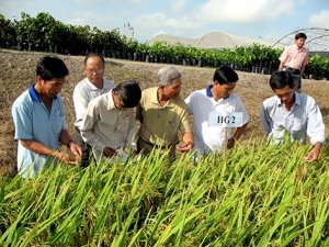 N&acirc;ng cao năng lực hội nhập v&agrave; ph&aacute;t triển bền vững ng&agrave;nh n&ocirc;ng nghiệp