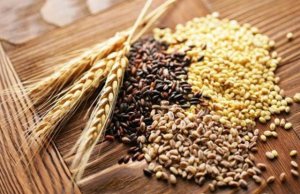 Gi&aacute; c&aacute;c mặt h&agrave;ng n&ocirc;ng sản tr&ecirc;n s&agrave;n CBOT diễn biến ph&acirc;n h&oacute;a