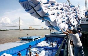 Ng&agrave;nh n&ocirc;ng nghiệp với mục ti&ecirc;u về an ninh lương thực v&agrave; xuất khẩu