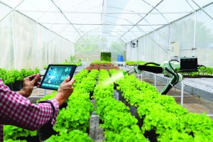 Chuyển đổi số hướng tới n&ocirc;ng th&ocirc;n mới th&ocirc;ng minh