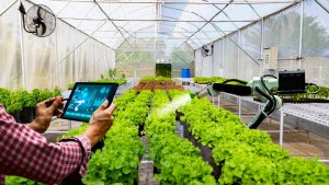 Đẩy mạnh chuyển đổi số trong khu vực kinh tế hợp t&aacute;c, hợp t&aacute;c x&atilde;