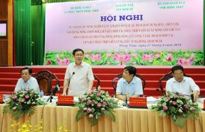 Tái cơ cấu nông nghiệp: Tác dụng kép cho ĐBSCL