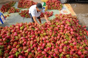 Rau quả xuất khẩu c&oacute; thể vượt mốc 3 tỷ đ&ocirc;