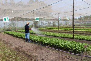 Li&ecirc;n kết sản xuất n&ocirc;ng nghiệp hữu cơ, hướng đi bền vững