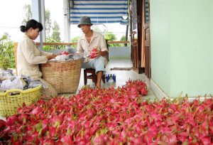 Nỗ lực vượt qua mức tăng trưởng năm 2018