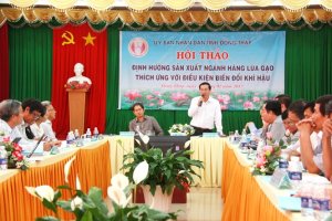 Giải pháp sản xuất lúa thích ứng biến đổi khí hậu