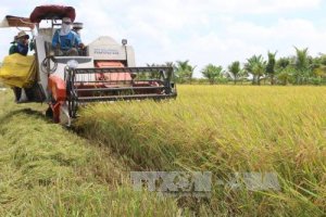 Thị trường n&ocirc;ng sản tuần qua: Gi&aacute; nhiều mặt h&agrave;ng đi xuống