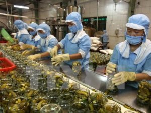 Xuất khẩu rau, quả ước đạt 3,16 tỷ USD