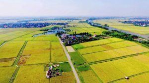 Đề xuất tiếp tục miễn thuế sử dụng đất n&ocirc;ng nghiệp đến hết năm 2030
