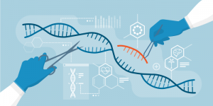 C&ocirc;ng nghệ chỉnh sửa gene trong n&ocirc;ng nghiệp: Lựa chọn cho Việt Nam?