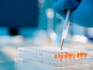 Lược Sử Thời Gian của DNA 