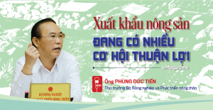 Xuất khẩu n&ocirc;ng sản đang c&oacute; nhiều cơ hội thuận lợi