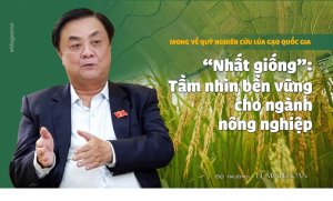 Mong về quỹ nghi&ecirc;n cứu l&uacute;a gạo quốc gia: &ldquo;Nhất giống&rdquo; Tầm nh&igrave;n bền vững cho ng&agrave;nh nong nghiệp